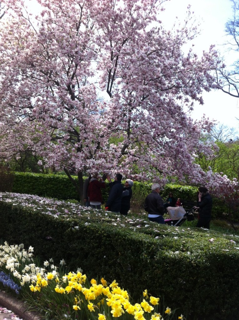 central park wedding april 2013  two